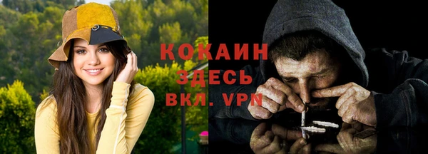 твердый Вяземский