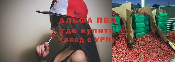 твердый Вяземский