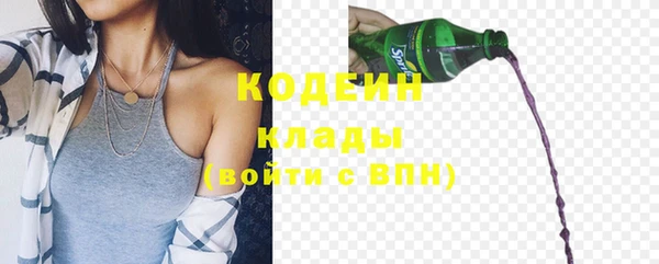 ПСИЛОЦИБИНОВЫЕ ГРИБЫ Вязники