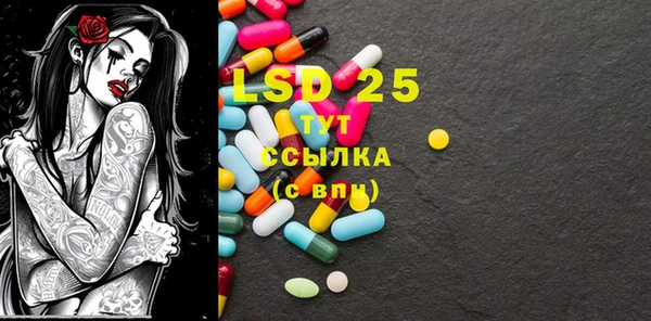 бошки Вязьма