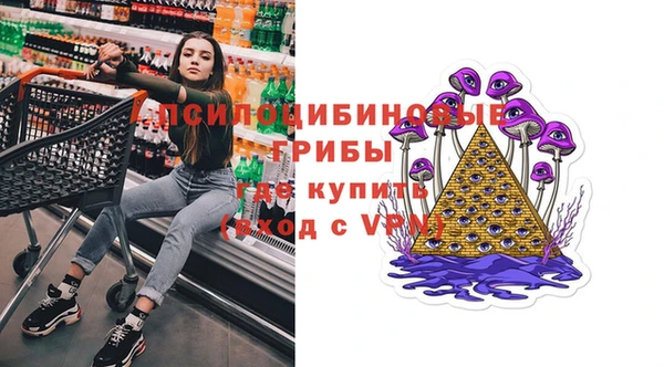 бошки Вязьма