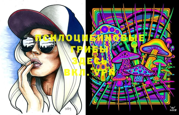 твердый Вяземский