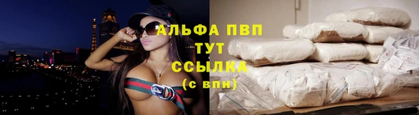 твердый Вяземский