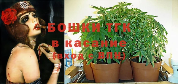 бошки Вязьма