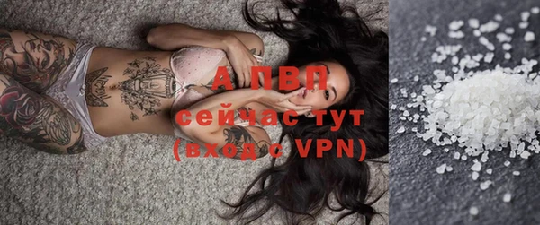 твердый Вяземский