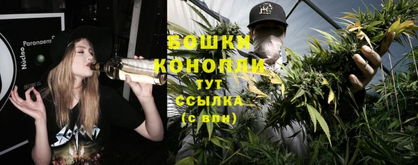 твердый Вяземский