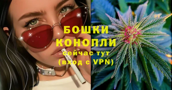 твердый Вяземский