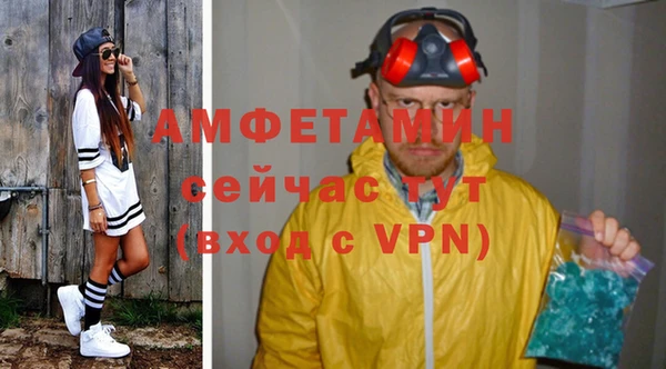твердый Вяземский