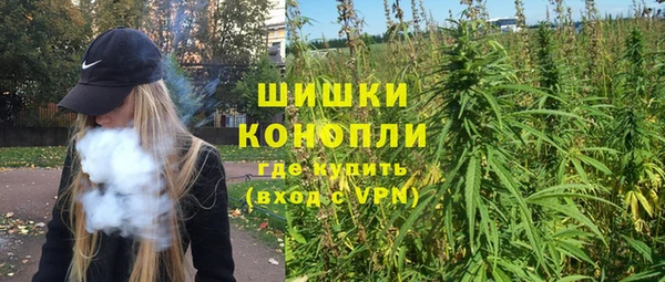 твердый Вяземский
