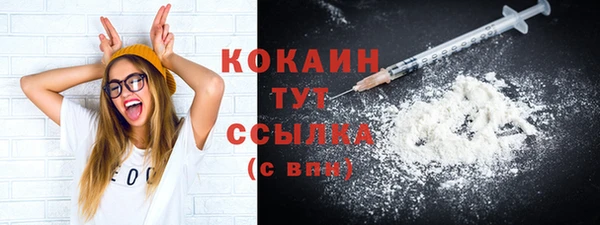 ПСИЛОЦИБИНОВЫЕ ГРИБЫ Вязники