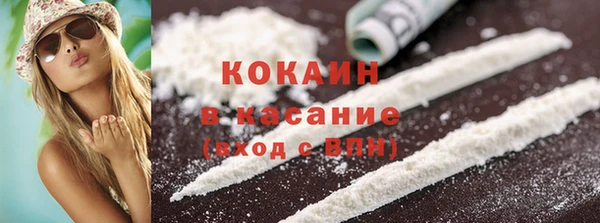 твердый Вяземский