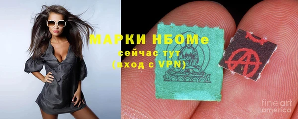 твердый Вяземский