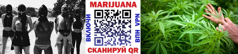 где купить наркоту  это Telegram  Марихуана тримм  Чудово 